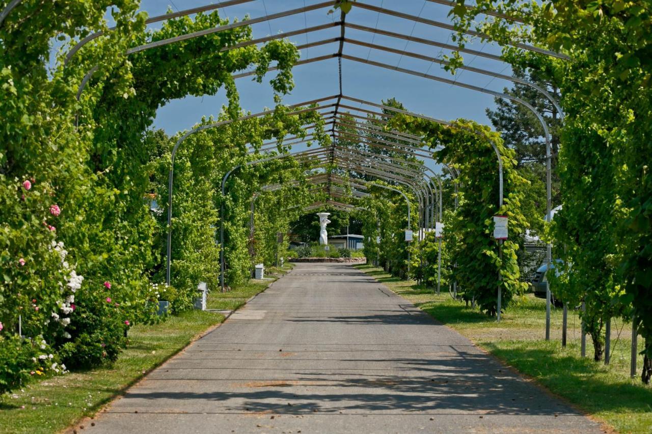 KNAUS Campingpark Bad Dürkheim Bagian luar foto